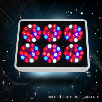 Apollo6 200w led grow lighting